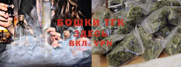 PSILOCYBIN Дмитров
